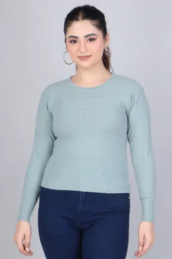 Women Self Design Round Neck Sweater